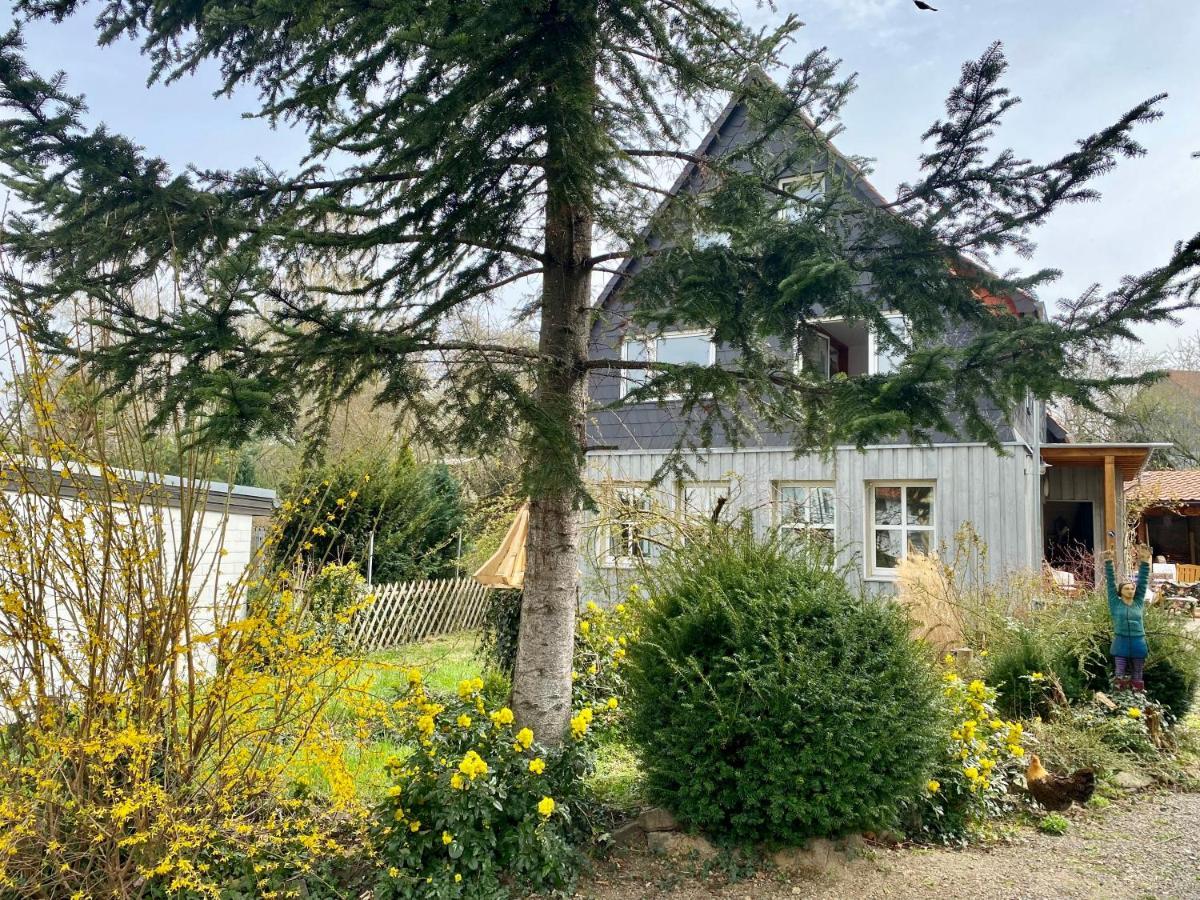 Gronocottage Bad Harzburg Eksteriør bilde
